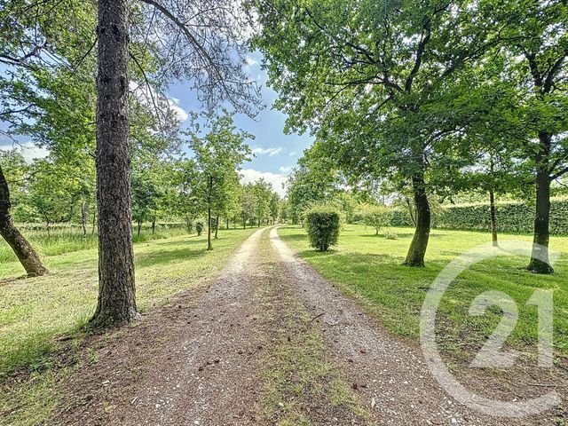 maison à vendre - 6 pièces - 140.95 m2 - LA FERTE ST AUBIN - 45 - CENTRE - Century 21 L'Ecu D'Or