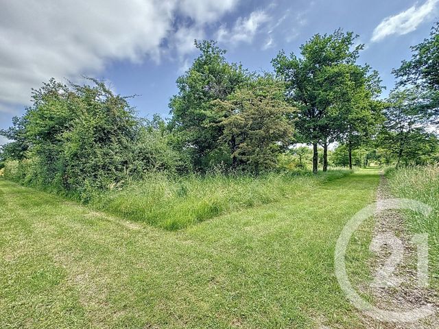 maison à vendre - 6 pièces - 140.95 m2 - LA FERTE ST AUBIN - 45 - CENTRE - Century 21 L'Ecu D'Or