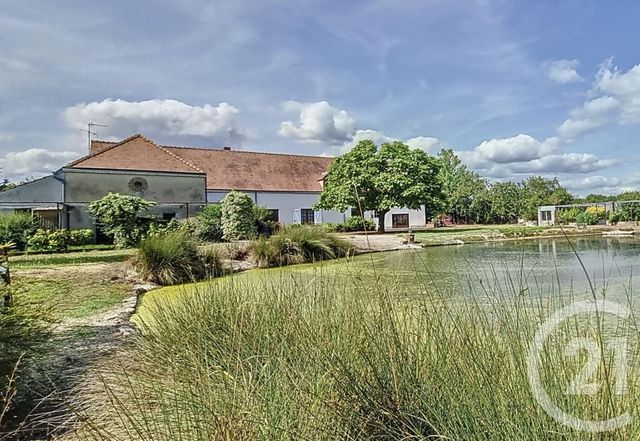maison - LIGNY LE RIBAULT - 45