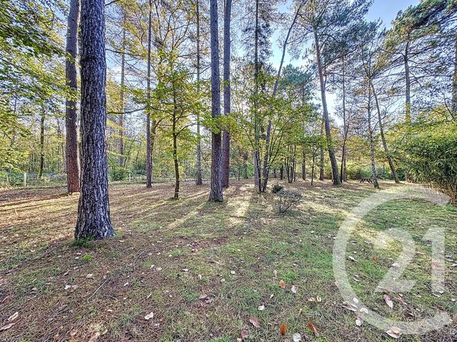 maison à vendre - 5 pièces - 174.0 m2 - YVOY LE MARRON - 41 - CENTRE - Century 21 L'Ecu D'Or