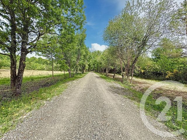 maison à vendre - 10 pièces - 372.0 m2 - VANNES SUR COSSON - 45 - CENTRE - Century 21 L'Ecu D'Or