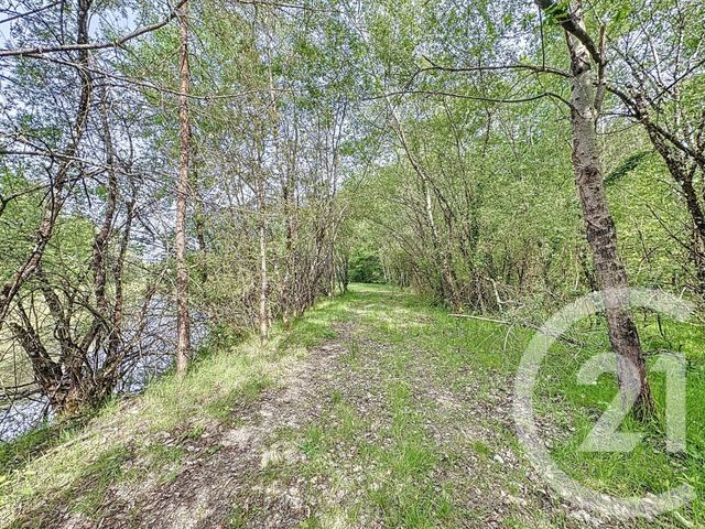 maison à vendre - 10 pièces - 372.0 m2 - VANNES SUR COSSON - 45 - CENTRE - Century 21 L'Ecu D'Or