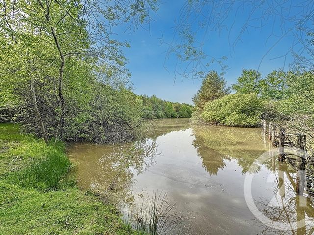 maison à vendre - 10 pièces - 372.0 m2 - VANNES SUR COSSON - 45 - CENTRE - Century 21 L'Ecu D'Or