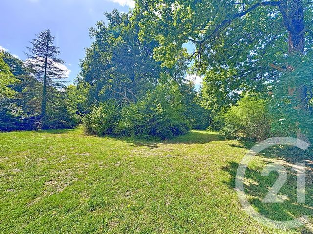 Afficher la photo en grand maison à vendre - 6 pièces - 190.0 m2 - LA FERTE ST AUBIN - 45 - CENTRE - Century 21 L'Ecu D'Or