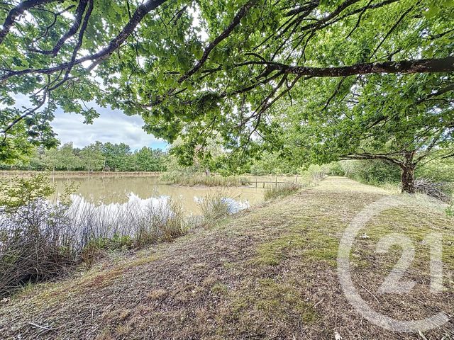 Afficher la photo en grand maison à vendre - 7 pièces - 240.0 m2 - ARDON - 45 - CENTRE - Century 21 L'Ecu D'Or