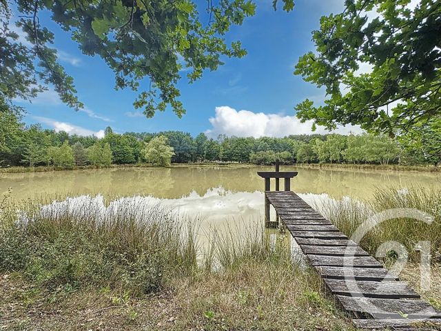 Afficher la photo en grand maison à vendre - 7 pièces - 240.0 m2 - ARDON - 45 - CENTRE - Century 21 L'Ecu D'Or