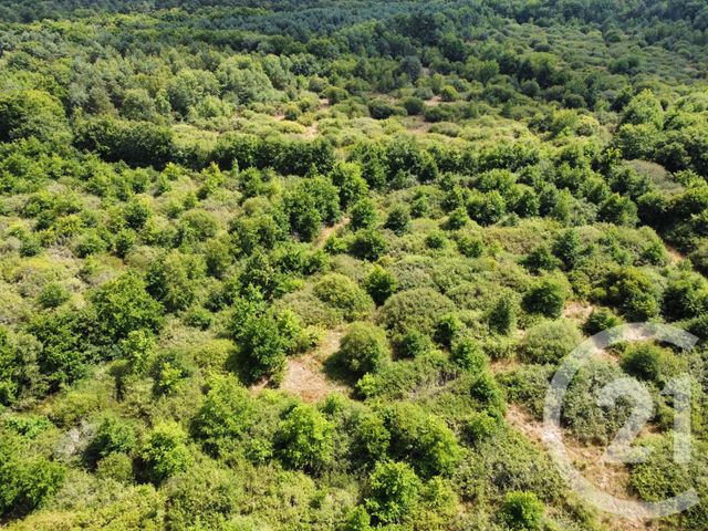 terrain à vendre - 98964.0 m2 - LA FERTE ST AUBIN - 45 - CENTRE - Century 21 L'Ecu D'Or