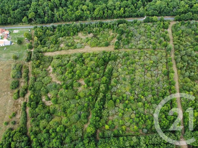 terrain à vendre - 98964.0 m2 - LA FERTE ST AUBIN - 45 - CENTRE - Century 21 L'Ecu D'Or