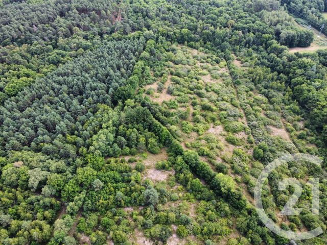 terrain à vendre - 98964.0 m2 - LA FERTE ST AUBIN - 45 - CENTRE - Century 21 L'Ecu D'Or