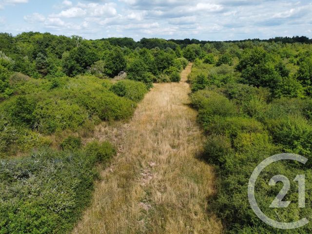 terrain à vendre - 98964.0 m2 - LA FERTE ST AUBIN - 45 - CENTRE - Century 21 L'Ecu D'Or