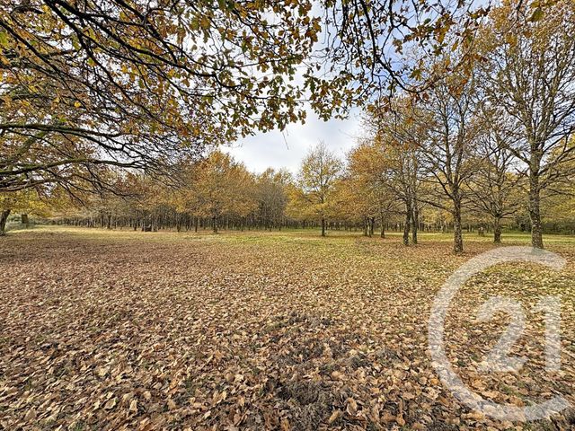 maison à vendre - 6 pièces - 219.55 m2 - MENESTREAU EN VILLETTE - 45 - CENTRE - Century 21 L'Ecu D'Or