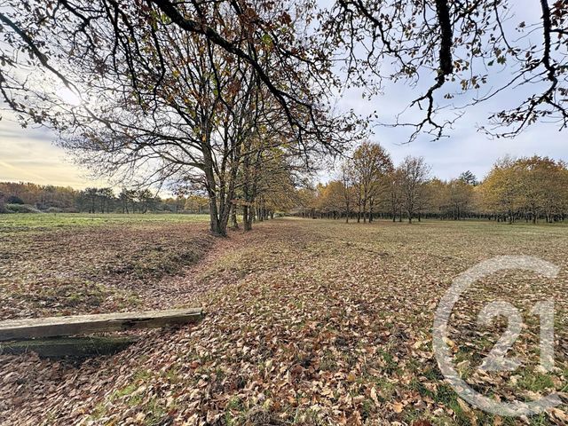 maison à vendre - 6 pièces - 219.55 m2 - MENESTREAU EN VILLETTE - 45 - CENTRE - Century 21 L'Ecu D'Or