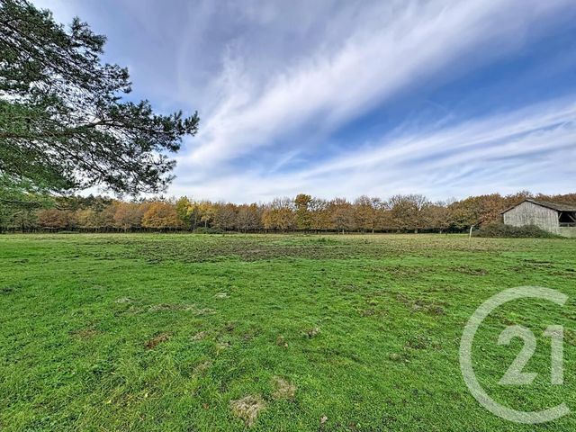 maison à vendre - 6 pièces - 219.55 m2 - MENESTREAU EN VILLETTE - 45 - CENTRE - Century 21 L'Ecu D'Or