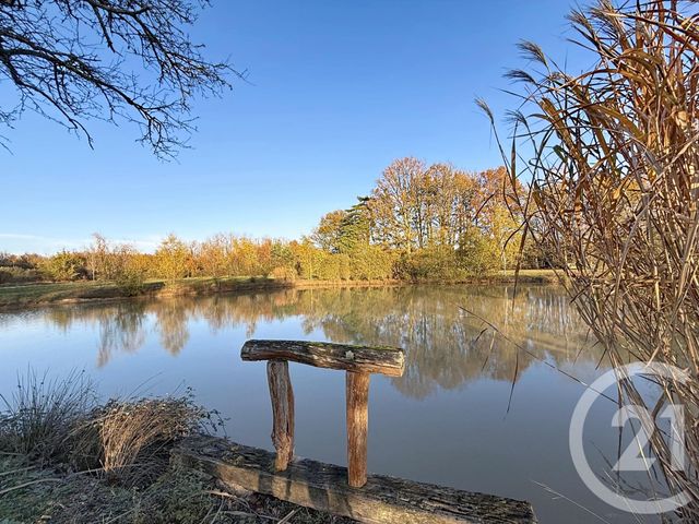 maison à vendre - 6 pièces - 209.04 m2 - MENESTREAU EN VILLETTE - 45 - CENTRE - Century 21 L'Ecu D'Or