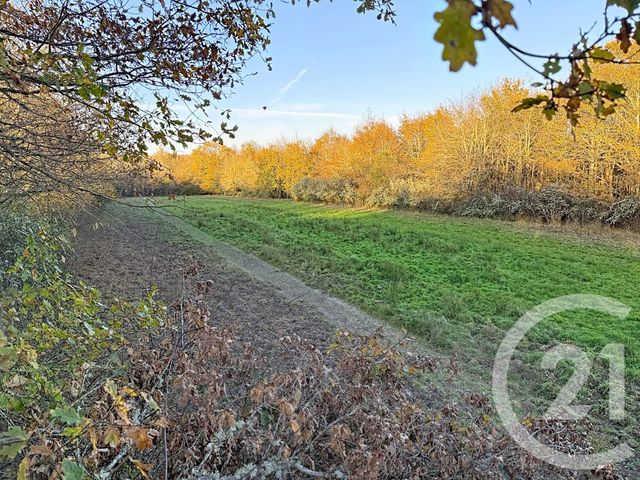 maison à vendre - 6 pièces - 209.04 m2 - MENESTREAU EN VILLETTE - 45 - CENTRE - Century 21 L'Ecu D'Or