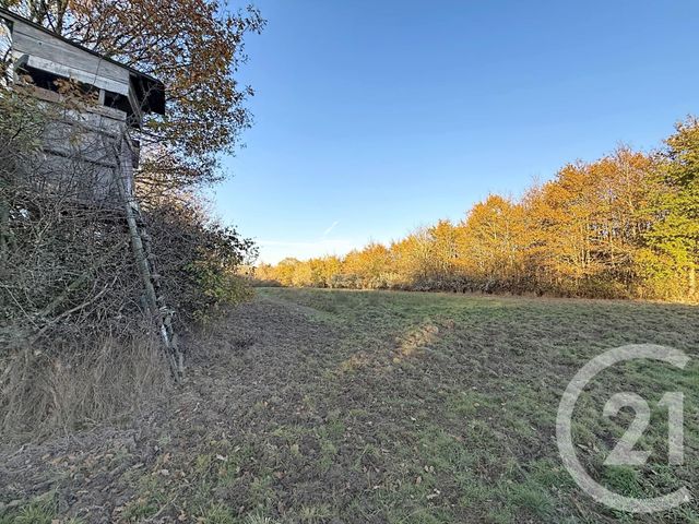 maison à vendre - 6 pièces - 209.04 m2 - MENESTREAU EN VILLETTE - 45 - CENTRE - Century 21 L'Ecu D'Or