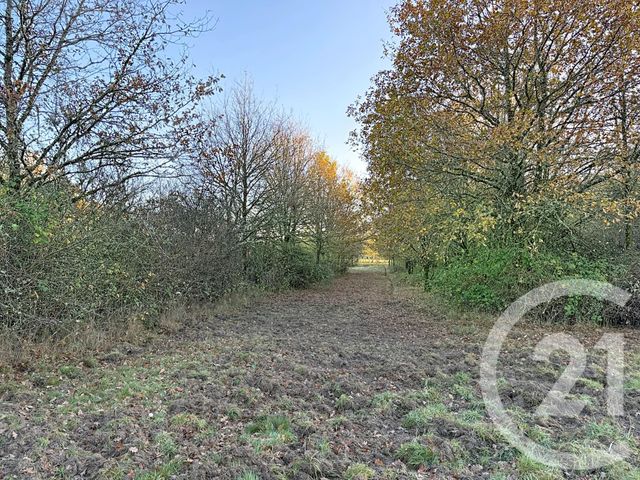 maison à vendre - 6 pièces - 209.04 m2 - MENESTREAU EN VILLETTE - 45 - CENTRE - Century 21 L'Ecu D'Or