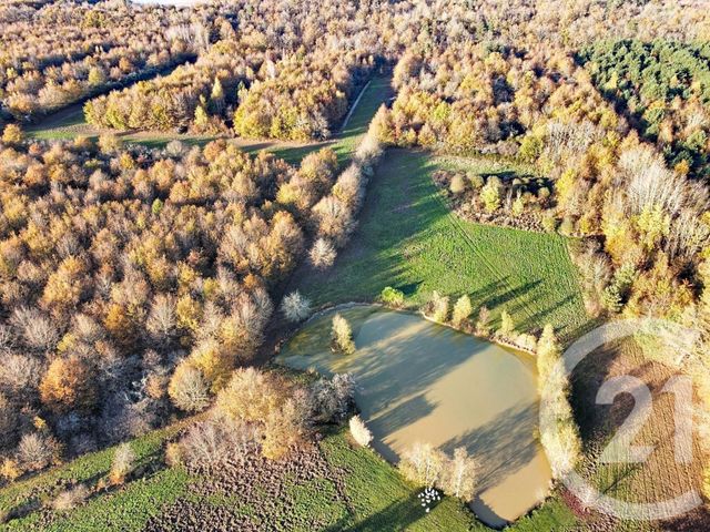 maison à vendre - 6 pièces - 209.04 m2 - MENESTREAU EN VILLETTE - 45 - CENTRE - Century 21 L'Ecu D'Or