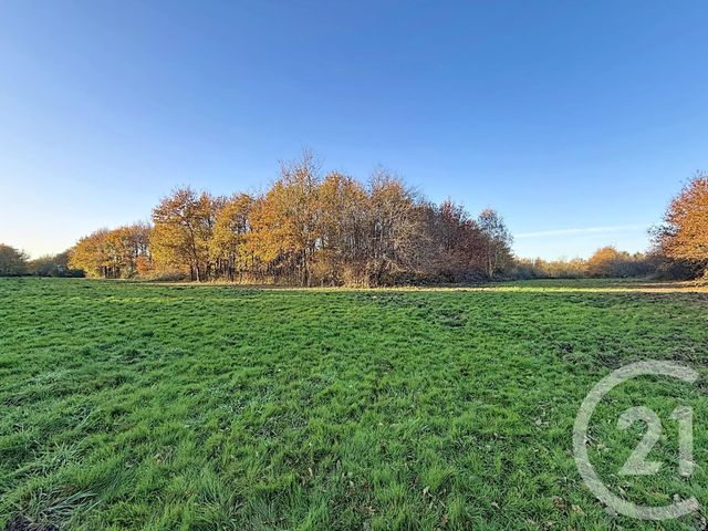 maison à vendre - 6 pièces - 209.04 m2 - OLIVET - 45 - CENTRE - Century 21 L'Ecu D'Or