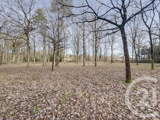 maison à vendre - 1 pièce - 29.01 m2 - OLIVET - 45 - CENTRE - Century 21 L'Ecu D'Or