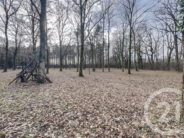 maison à vendre - 1 pièce - 29.01 m2 - OLIVET - 45 - CENTRE - Century 21 L'Ecu D'Or