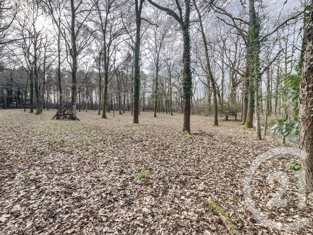 maison à vendre - 1 pièce - 29.01 m2 - OLIVET - 45 - CENTRE - Century 21 L'Ecu D'Or