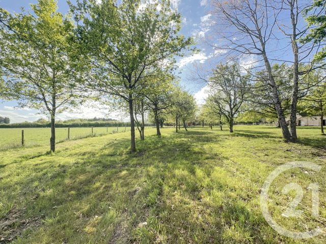 maison à vendre - 8 pièces - 140.0 m2 - LIGNY LE RIBAULT - 45 - CENTRE - Century 21 L'Ecu D'Or