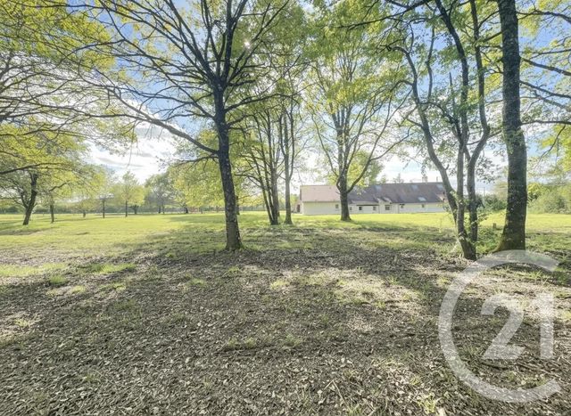 maison à vendre - 8 pièces - 140.0 m2 - LIGNY LE RIBAULT - 45 - CENTRE - Century 21 L'Ecu D'Or