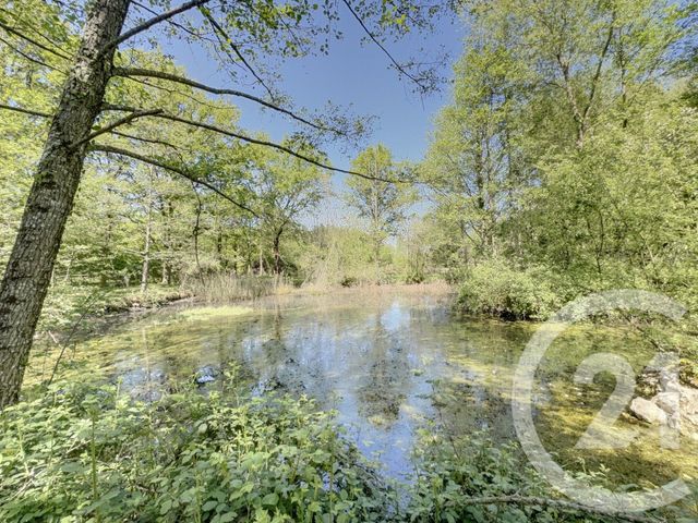 maison à vendre - 9 pièces - 203.0 m2 - LIGNY LE RIBAULT - 45 - CENTRE - Century 21 L'Ecu D'Or