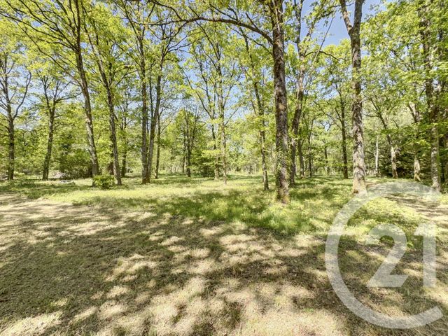 maison à vendre - 9 pièces - 203.0 m2 - LIGNY LE RIBAULT - 45 - CENTRE - Century 21 L'Ecu D'Or