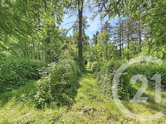 maison à vendre - 5 pièces - 112.0 m2 - LA FERTE ST AUBIN - 45 - CENTRE - Century 21 L'Ecu D'Or