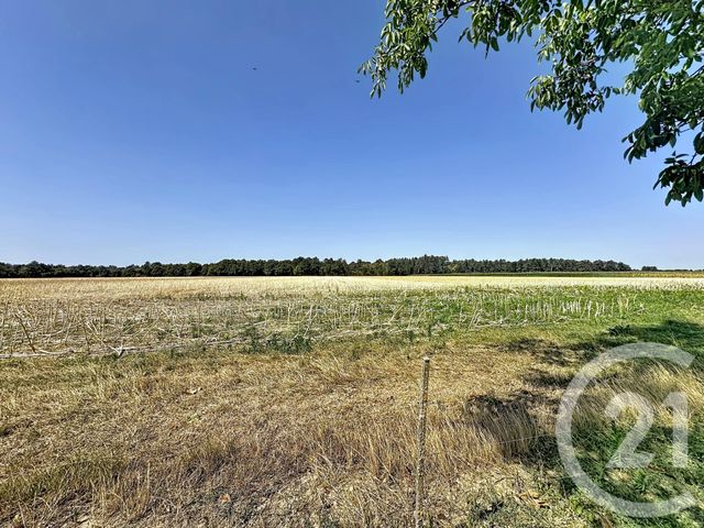 maison à vendre - 8 pièces - 230.46 m2 - MARCILLY EN VILLETTE - 45 - CENTRE - Century 21 L'Ecu D'Or