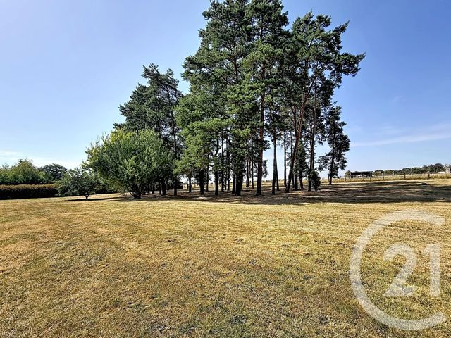 maison à vendre - 7 pièces - 218.0 m2 - MARCILLY EN VILLETTE - 45 - CENTRE - Century 21 L'Ecu D'Or