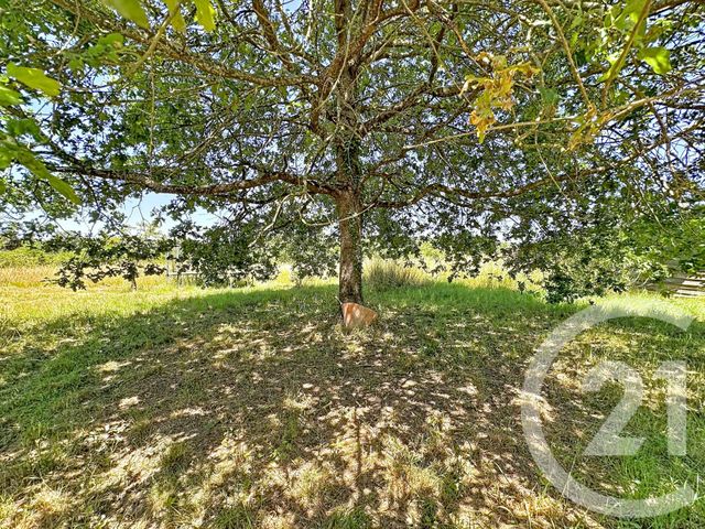 maison à vendre - 6 pièces - 134.33 m2 - VERNOU EN SOLOGNE - 41 - CENTRE - Century 21 L'Ecu D'Or