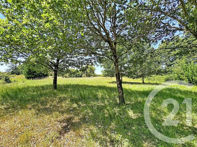 maison à vendre - 6 pièces - 134.33 m2 - VERNOU EN SOLOGNE - 41 - CENTRE - Century 21 L'Ecu D'Or
