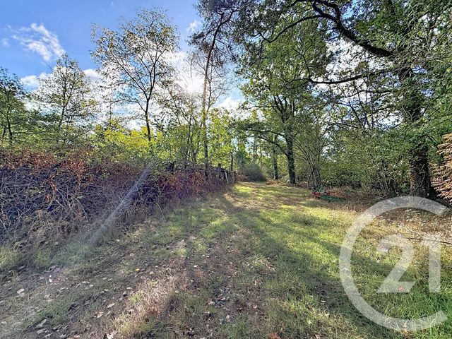 terrain à vendre - 80605.0 m2 - CHAON - 41 - CENTRE - Century 21 L'Ecu D'Or