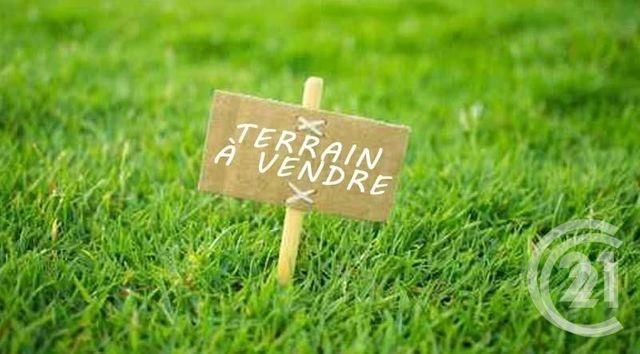 Afficher la photo en grand terrain à vendre - 160.0 m2 - LA FERTE ST AUBIN - 45 - CENTRE - Century 21 L'Ecu D'Or